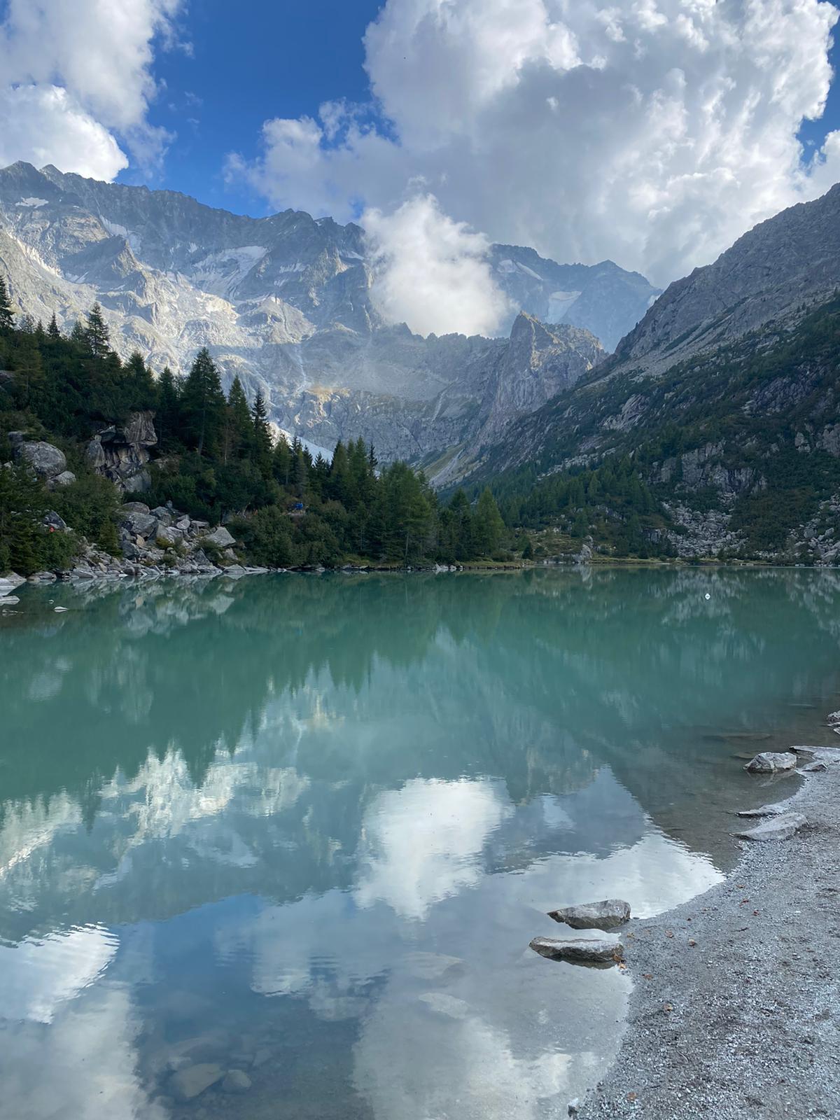 Vista lago che rispecchia un cielo limpido circondato da alberi e montagne rocciose