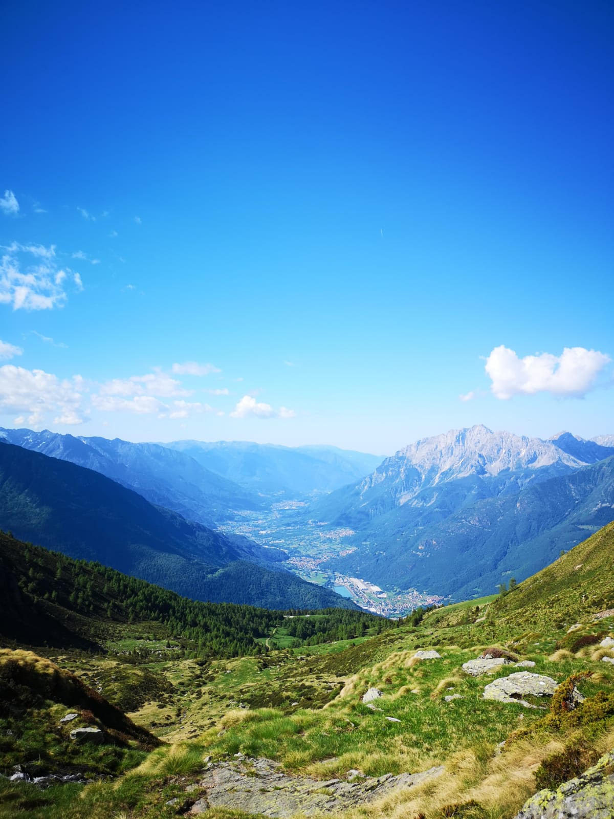 Vista distesa di montagne verdi su un cielo limpido e soleggiato