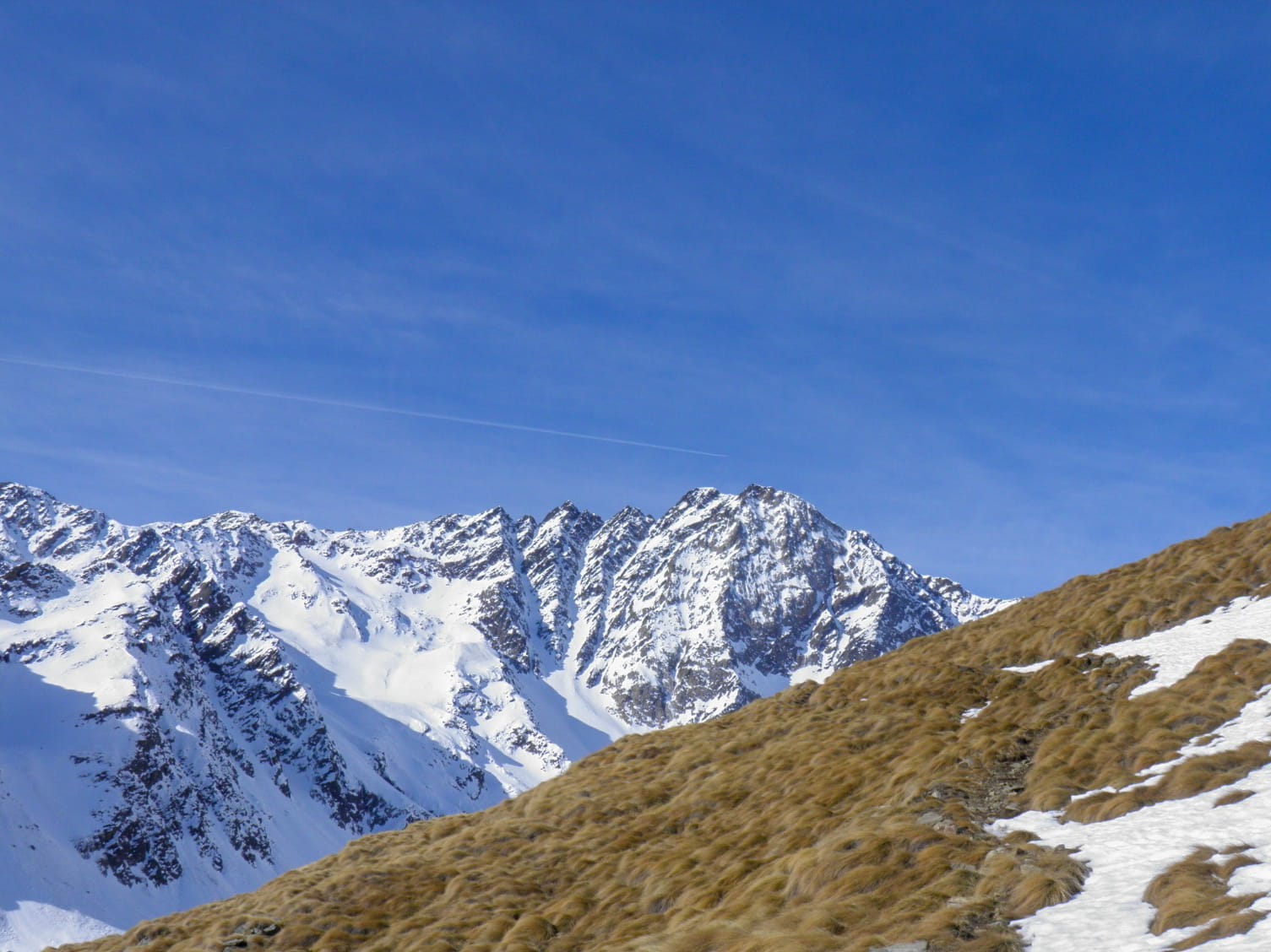 Vista in primo piano di montagna con piante pallide, invece in secondo piano montagne alte e innevate con un cielo luminoso