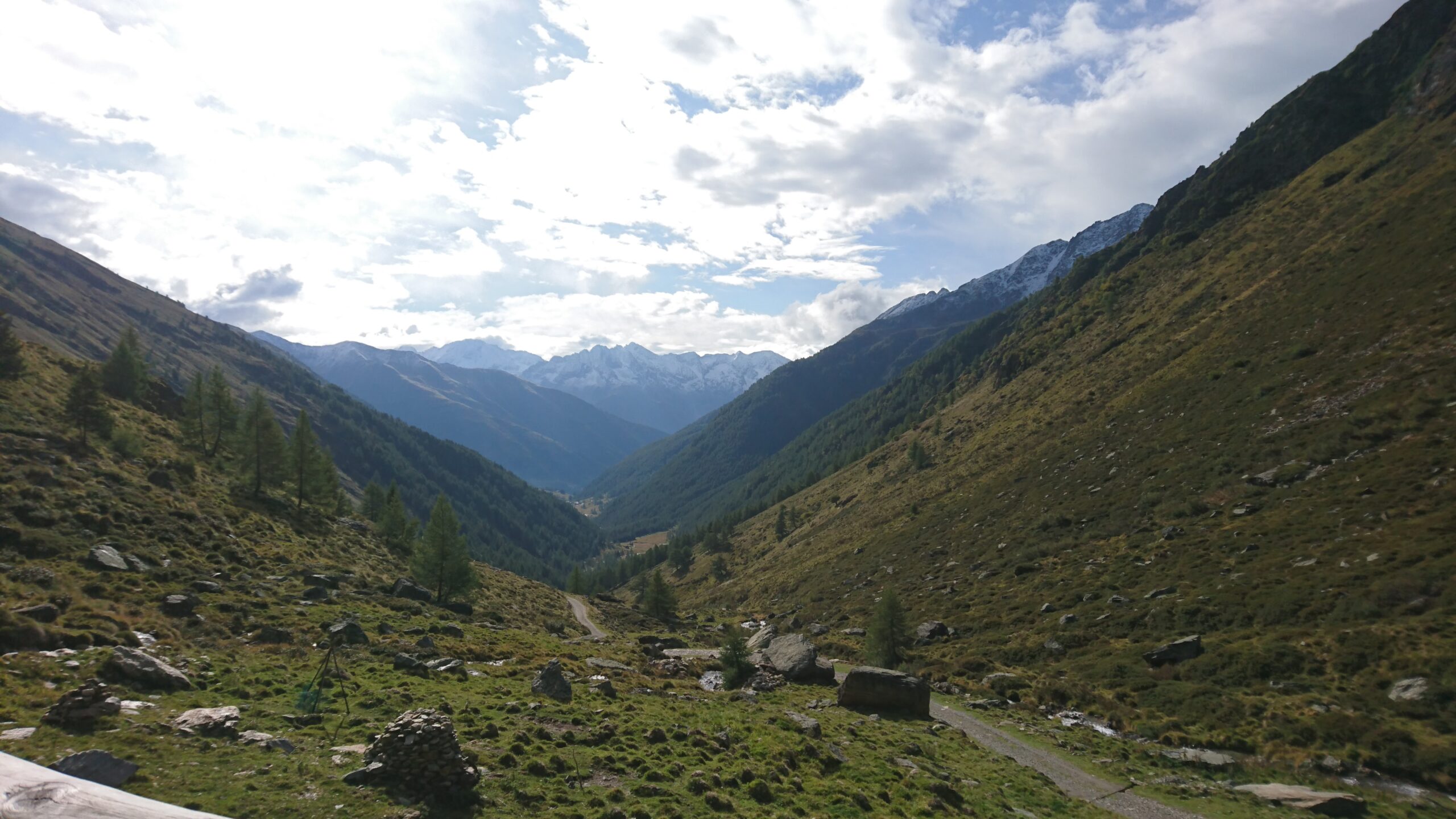 Vista di una distesa di montagne coperte completamente di verde con piccoli alberi sparsi