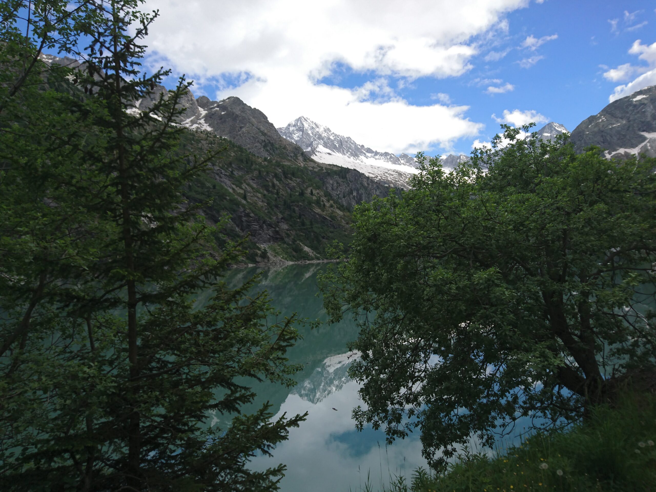 Vista di un lago attorniato da alberi verdi e montagne