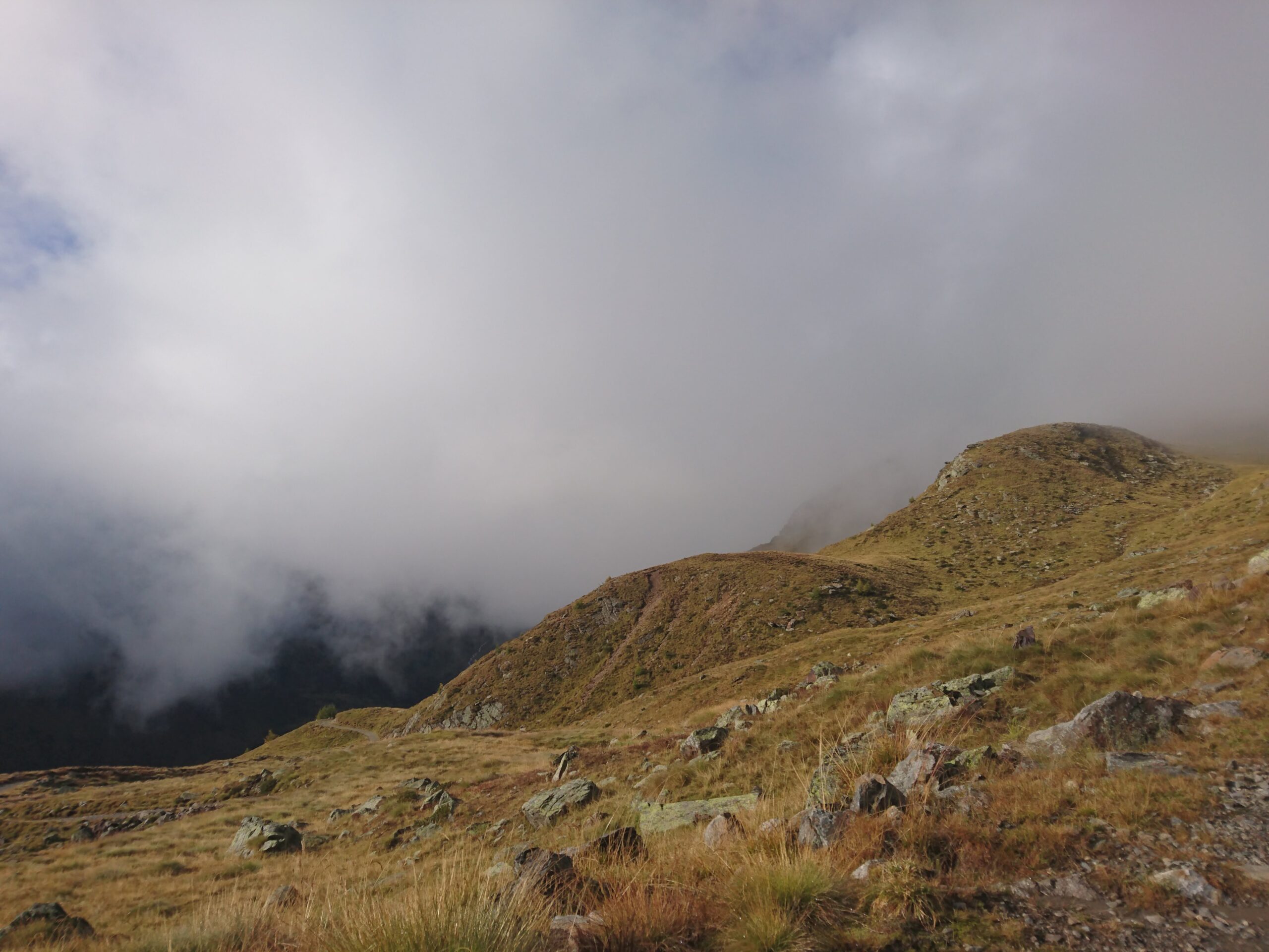 Foto di montagne con piante quasi appassite sul fondo di un cielo di nebbia