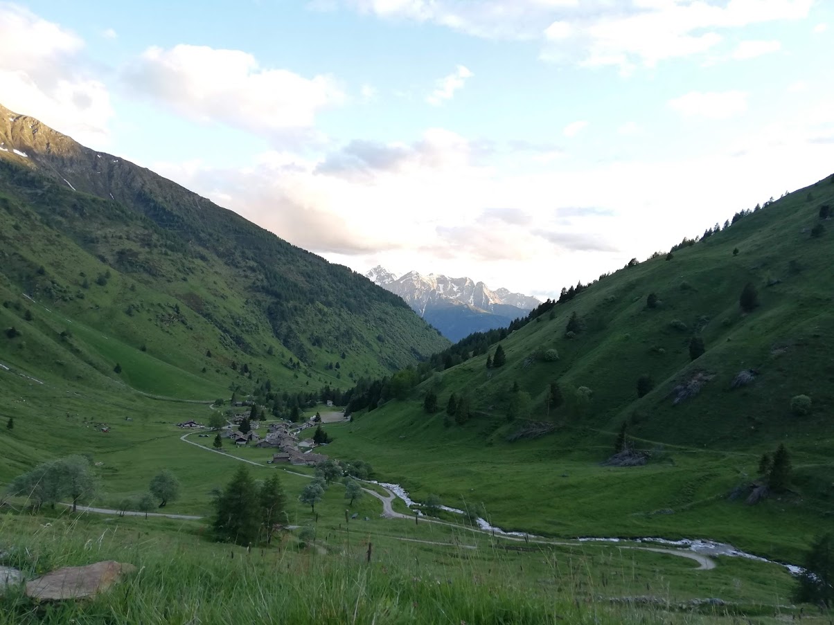 Vista montagne completamente ricoperte di verde con alberi sparsi ed un lungo sentiero