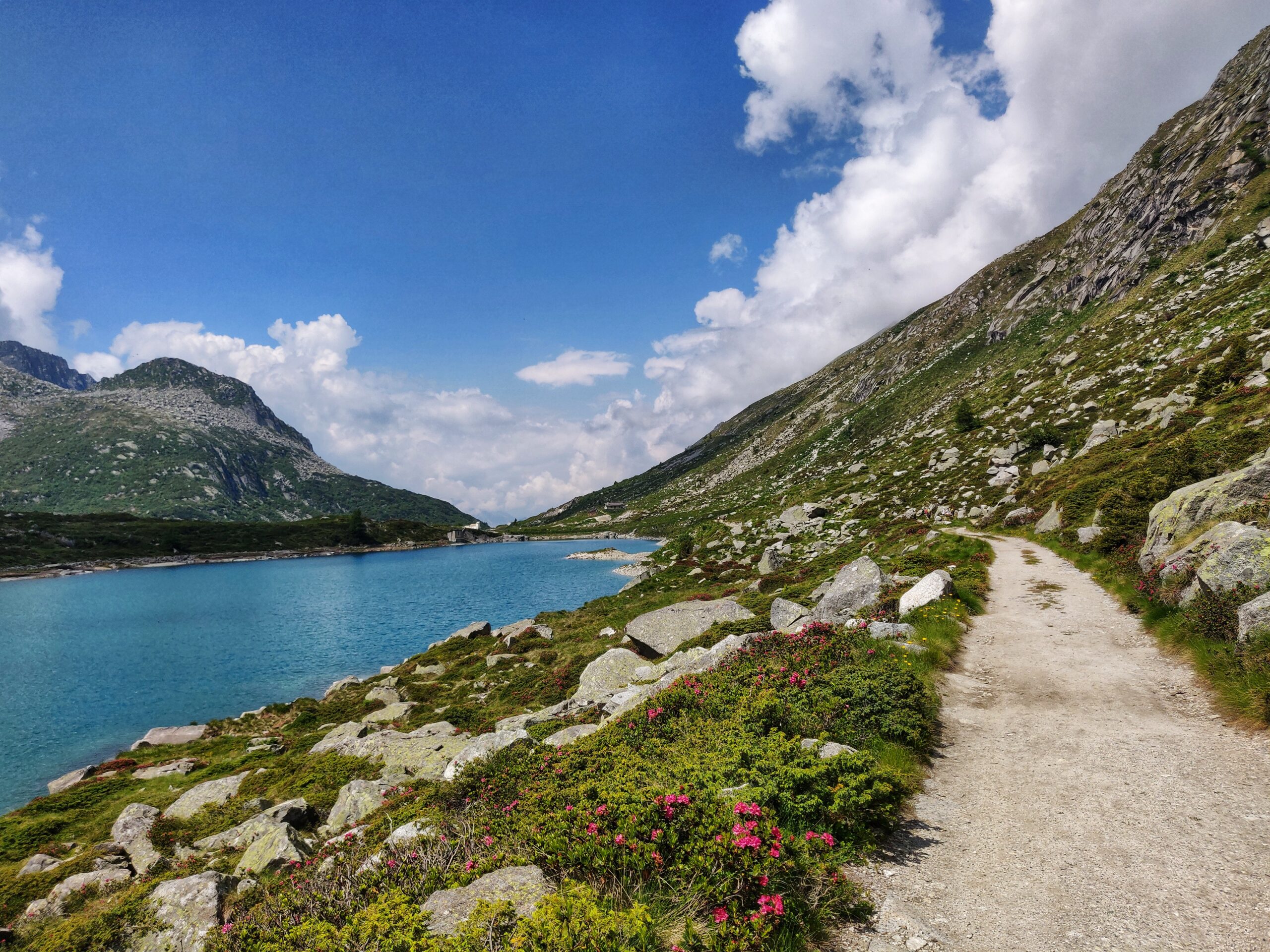 Vista viottolo che porta ad un grande lago limpido