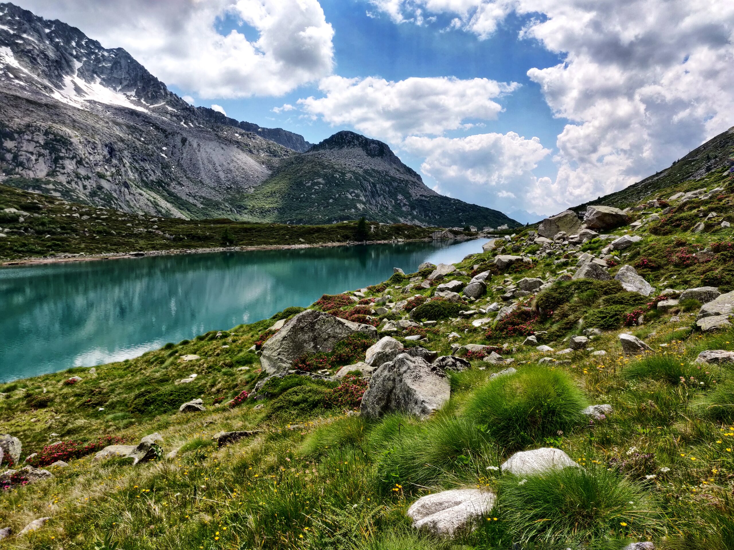 Vista lago con prato verde e piccole rocce e alte montagne