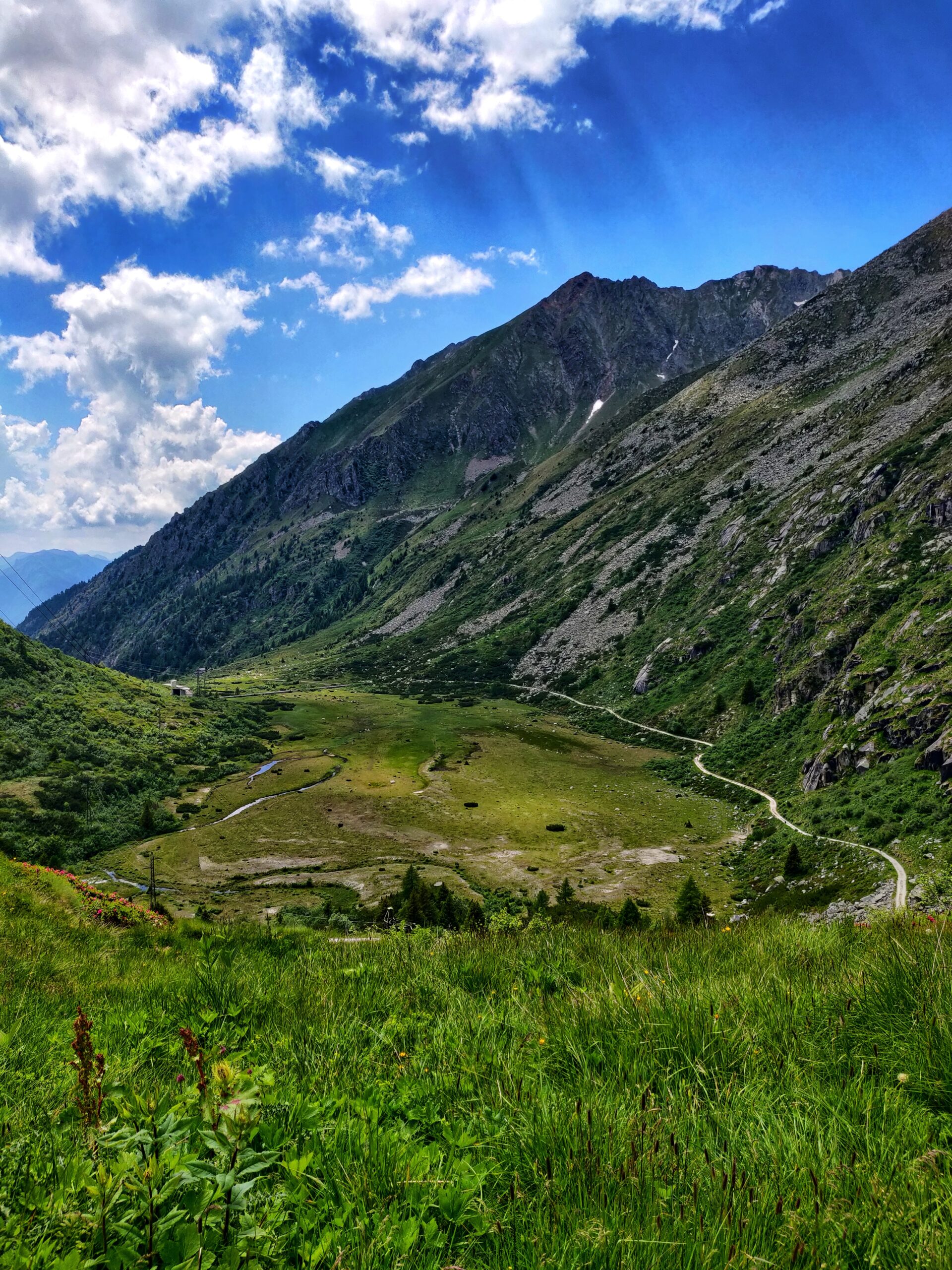 Vista prato verde e montagne verdi con un cielo limpido e soleggiato