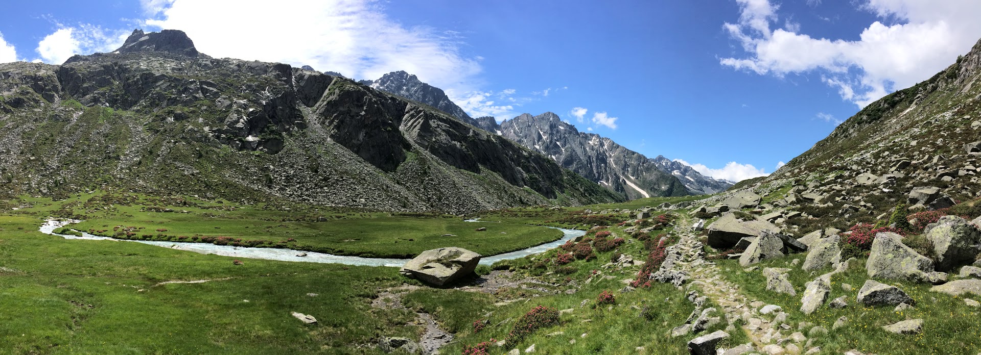 Foto di un viottolo in mezzo al verde delle montagne