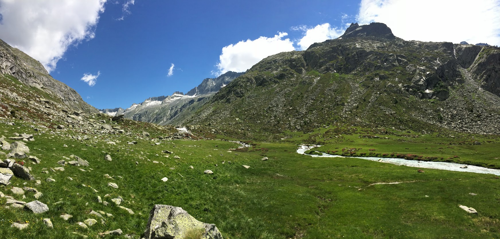 Vista di un verde prato esteso nei pressi delle montagne altrettanto verdi