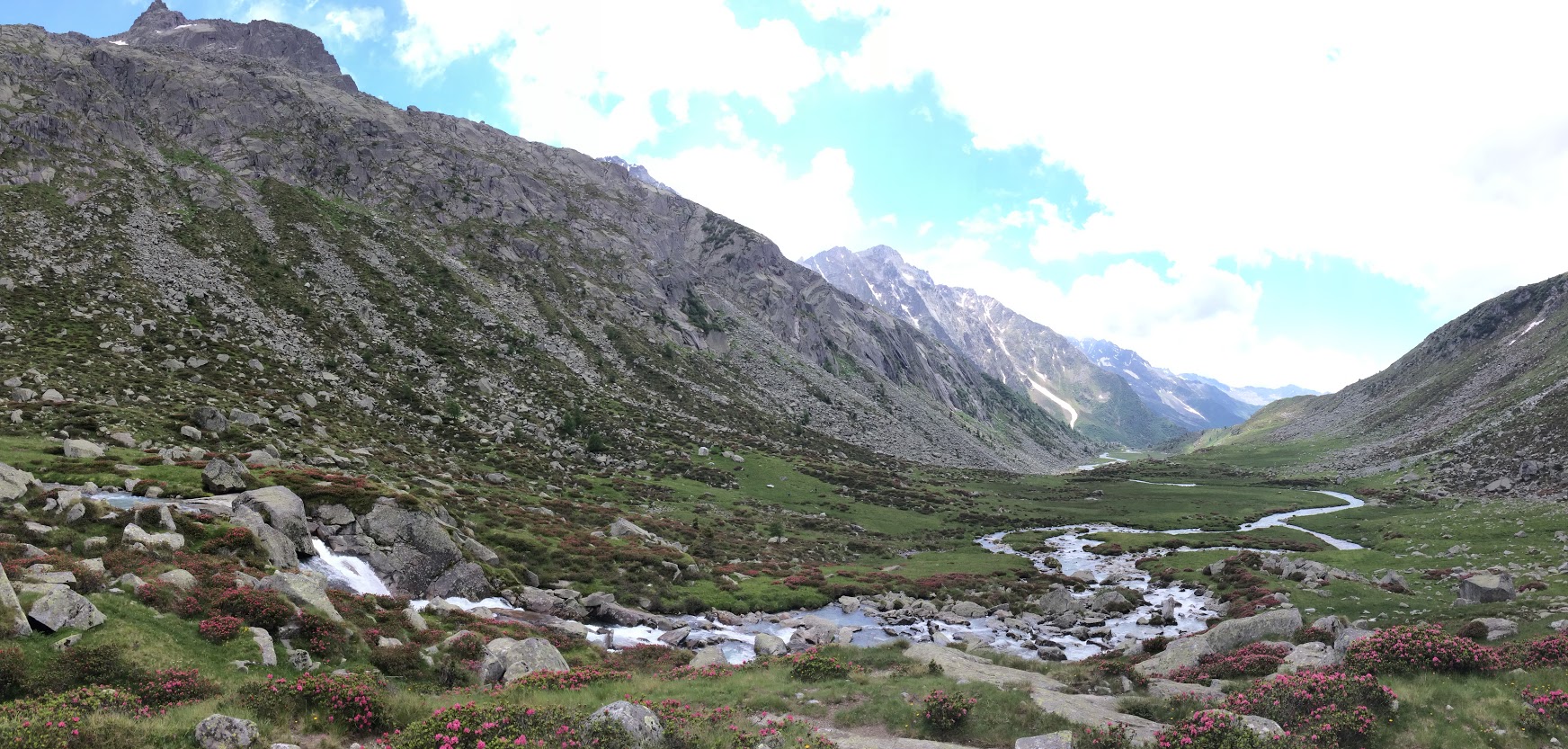 Vista di un piccolo sentiero d'acqua circondato da piccole rocce ed una prato verde con fiori rossi e delle alte montagne rocciose