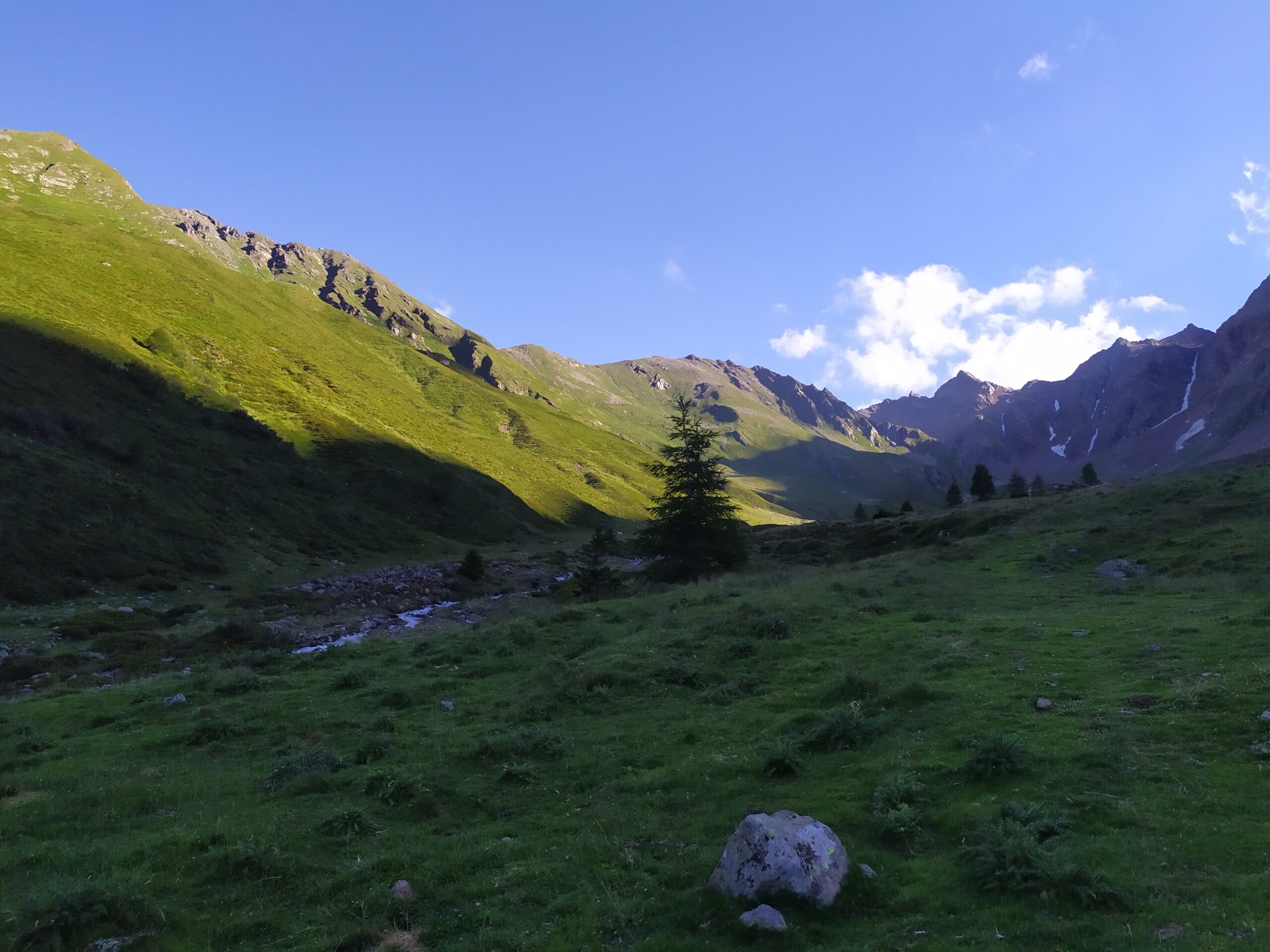 Vista di colline verdi riscaldate da un brillante sole ed un cielo cristallino