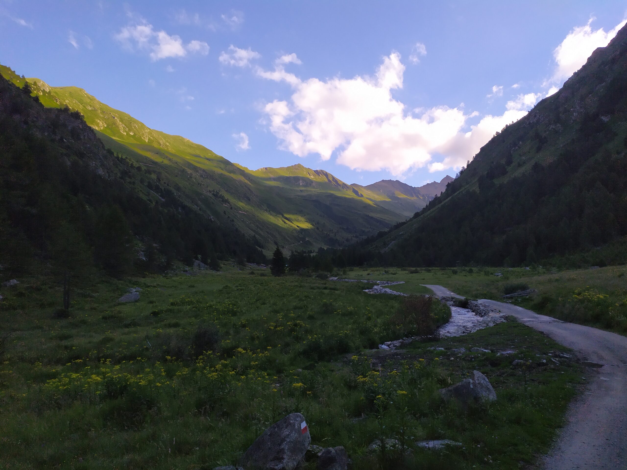 Vista di un piccolo sentiero costeggiato dal prato e da piccoli fiori gialli, che riporta ad una distesa di colline verdi e un cielo splendente