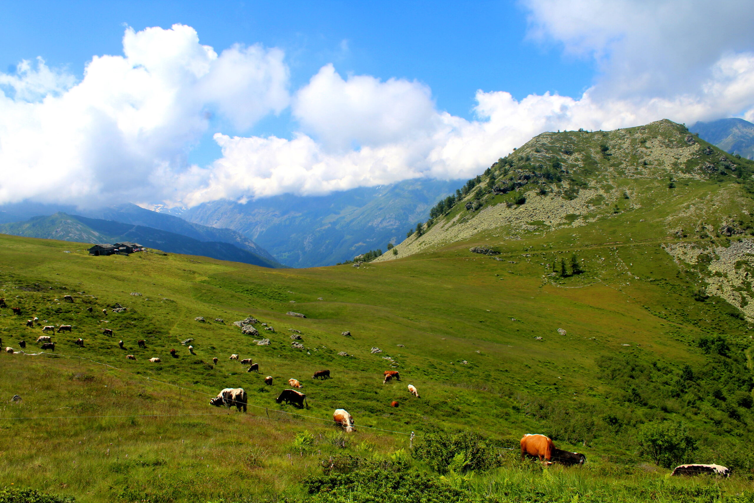 Pagina instagram: Trekking Valli di Lanzo